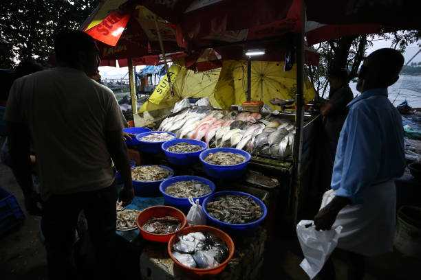 Fisherman sells his days catch at Kochi Fort in Kochi, India Kochi, India - 17th December 2016: A fisherman sells his days catch of fish to customers at Kochi Fort in Kochi, India. cochin kerala india chinese fishing net stock pictures, royalty-free photos & images