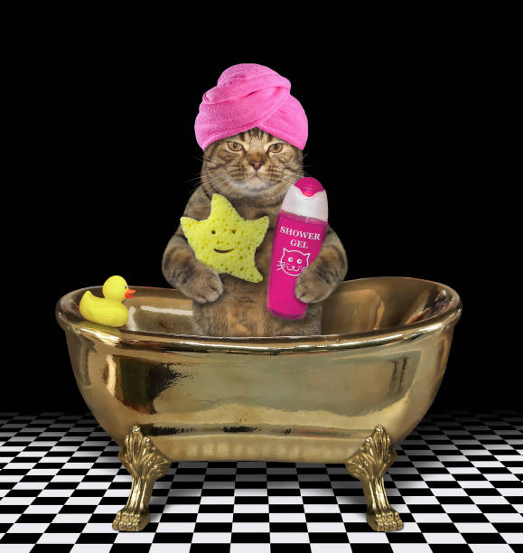 istock Cat sits in gold bath at home 1232488747