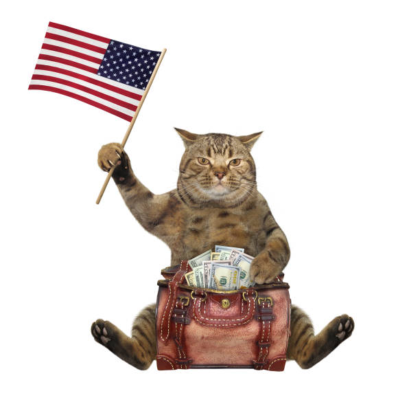istock Cat with bag full of money 1232489489