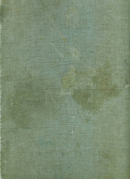 istock Blank old book cover canvas background. Vintage texture weathered fabric background. 1232492327