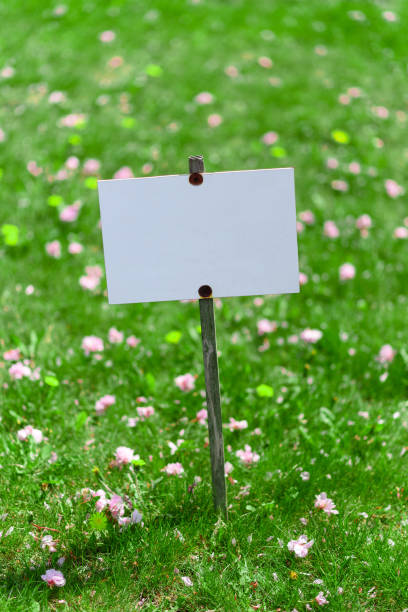 Plate on a background of green lawn. Place for text. stock photo