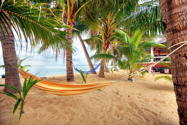 istock View of  tropical sand beach with some palm and hammock 123249803