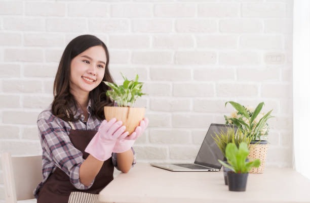 istock Asian woman plant a small tree at home. 1232552729
