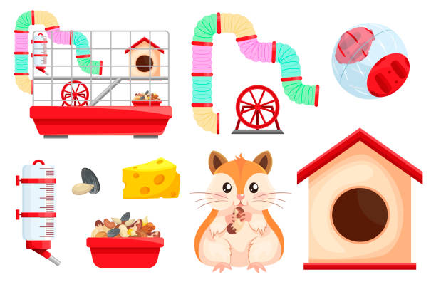 Hamster habitat and accessories. Rodent cage two level with tube, tunnel, exercise wheel. Hamster habitat, accessories. Rodent cage two level with tunnel, exercise wheel, water bottle, food dish, transparent ball. Carrier for gerbils, mice, ferrets. Vector cartoon set isolated on white. gerbil stock illustrations