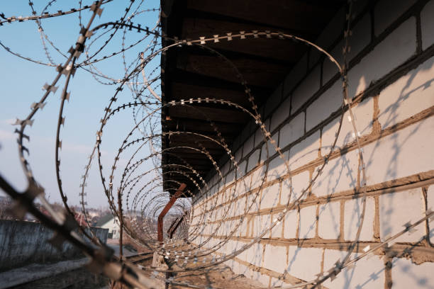 istock Barbed wire under electricity above the fence 1232583067