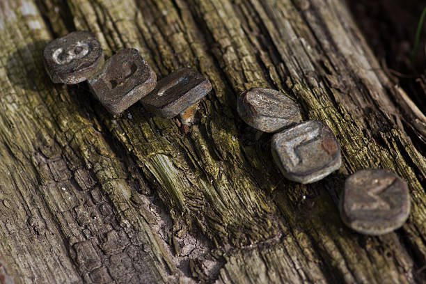 rusty pins - foto de acervo