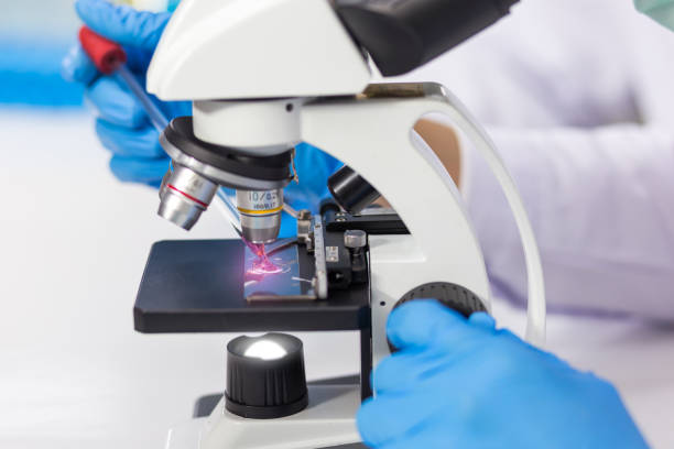 istock The hands of men wearing blue rubber gloves are using a microscope to work in the laboratory. 1232627772