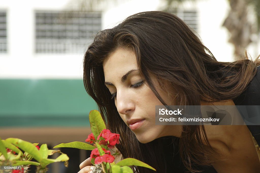 Zapach róż - Zbiór zdjęć royalty-free (Brązowe włosy)