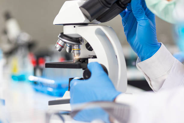istock The hands of men wearing blue rubber gloves are using a microscope to work in the laboratory. 1232641531