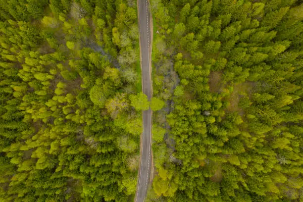 High Angle Aerial View of Rural road in the green forest, Moscow area, Russia