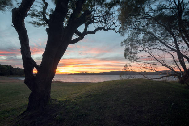 istock Lake Taupo Sunset 1232781208