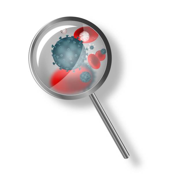 istock Coronavirus disease COVID-19 infection medical with magnifying glass. Vector 1232821774