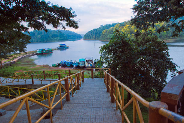 Entry towards the jetties lined up for boat cruise at Periyar Tiger Reserve. Thekkady, Kerala/India - September 24, 2013: Start Point\Entry towards the Kerala Tourism (KTDC) jetties lined up for boat cruise at Periyar National Park and Wildlife Sanctuary. periyar wildlife sanctuary stock pictures, royalty-free photos & images
