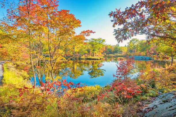 istock Fall colors in Kawartha Highlands Provincial Park Ontario Canada 1232859957