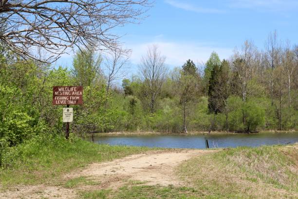 istock Path to the Pond in the Park 1232865063