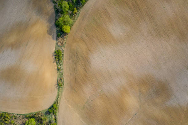 istock agriculture land drone view 1232874186