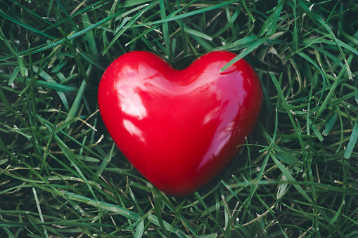 Red heart on grass