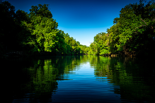 Mirrored Reflections along the River with tall trees and deep blue sky in the morning in Austin , Texas , USA Calm Nature Escape along Barton Springs Creek