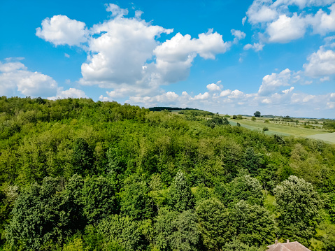 Forest, Agricultural fields and clouds, aerial view taken with drone.