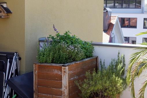 parsley, sage, thyme, mint and chives grow in a wooden raised bed on a terrace