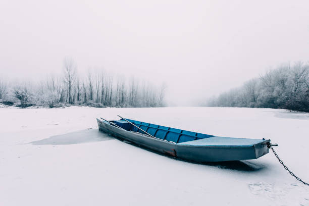 istock Dragan Jereminov photography 1233029855