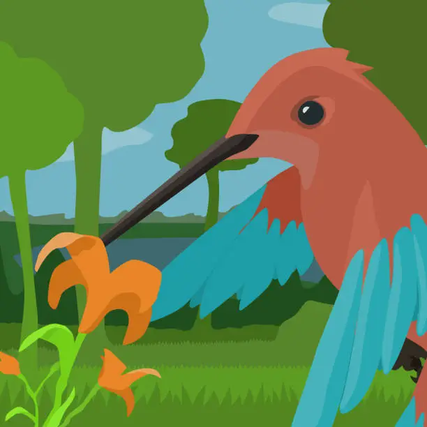 Vector illustration of Hummingbird Flower Cartoon