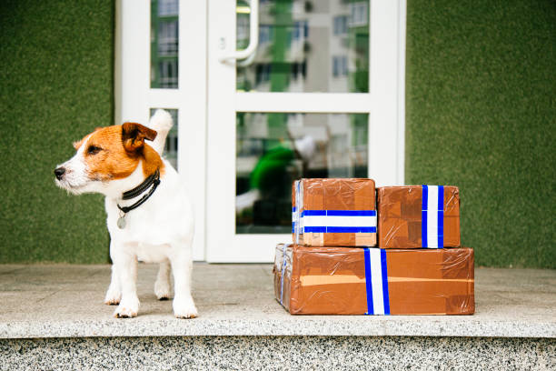 Parcel Delivery Outside Door stock photo