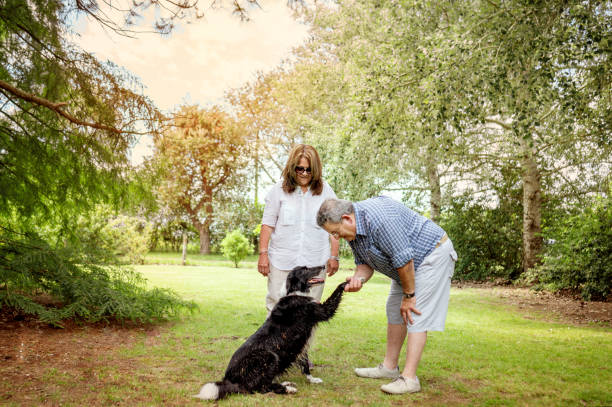 istock Senior couple playing with a dog outdoors in the backyard 1233053828