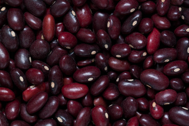 istock bunch of bright burgundy raw bean beans create a beautiful dark background 1233174387