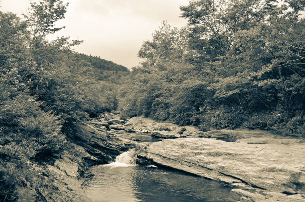 istock River in sepia colors 1233179251