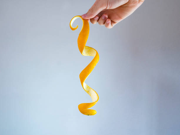 Hand holds an orange peel spiral, compostable waste stock photo