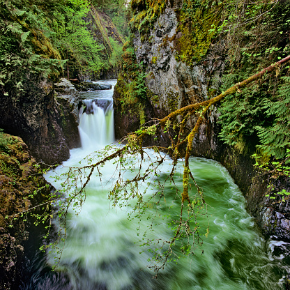 Englishman River Falls on Vancouver Island, British Columbia