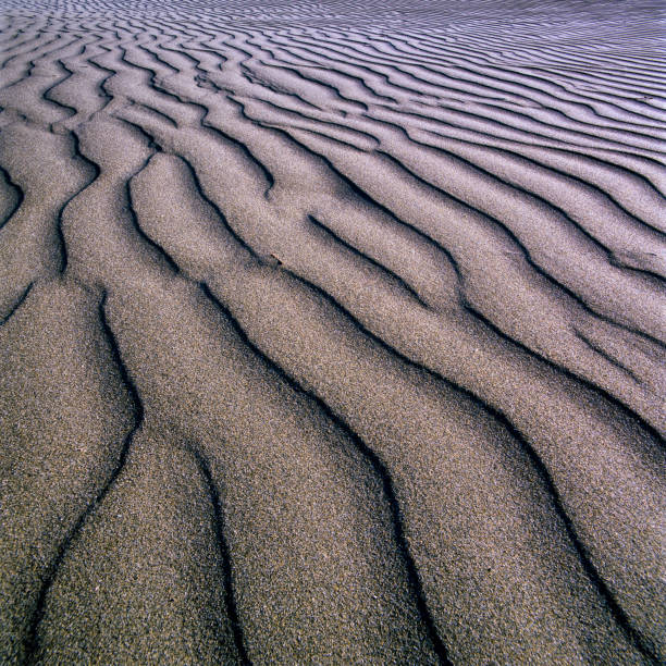 Beach Sand