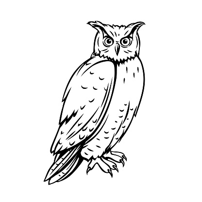 Owl bird. Outline icon for zoo design. Engraving ink vector illustration