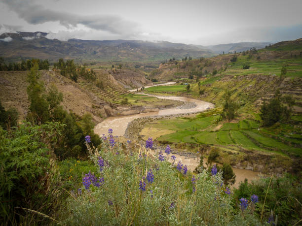 istock Apurimac River in Colca Canyon, Peru 1233281892