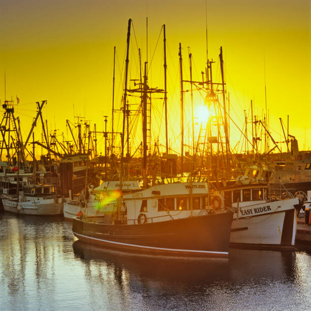 istock Vancouver Island British Columbia 1233296774