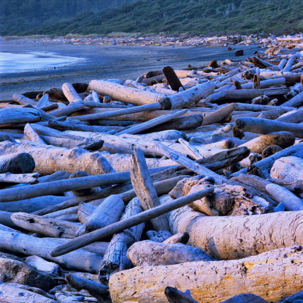 Hug point nature area in Oregon