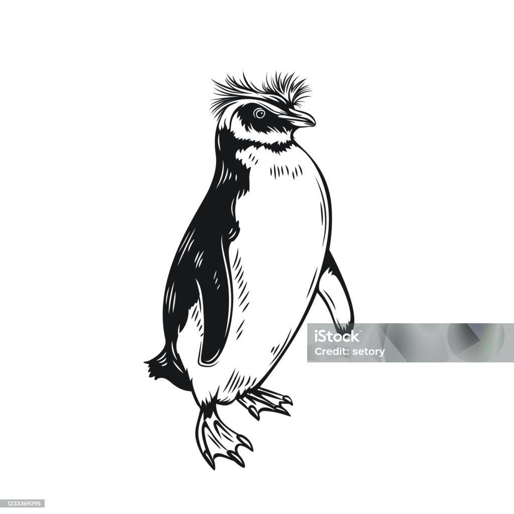 Biểu Tượng Viền Chim Cánh Cụt Hình minh họa Sẵn có - Tải xuống ...
