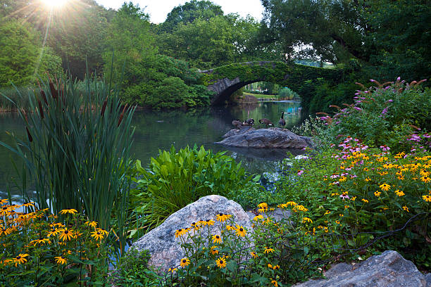 istock New York City Gapstow bridge 123337411
