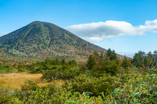 Mountain forest landscape under sky with clouds in sunny day Mountain forest landscape under sky with clouds in sunny day. Mount Hakkoda, Towada Hachimantai National Park, Aomori, Japan hakkoda mountain range stock pictures, royalty-free photos & images