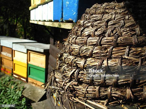 Die Bienenzucht Stockfoto und mehr Bilder von Bienenstock - Bienenstock, Farbbild, Fotografie