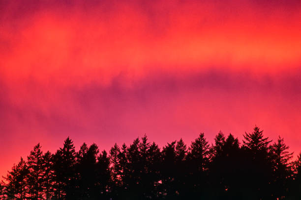 istock Vancouver Island British Columbia 1233386629
