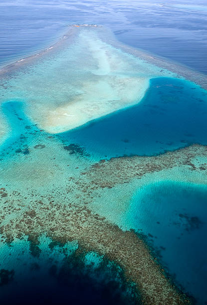 istock Aerial view of coral reefs. 123338891
