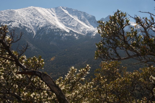Wheeler Peak with snow framed by trees in foreground, Great Basin National Park, Western Nevada, US