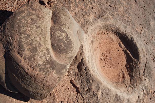 Fossilized dinosaur dung, near Tuba City, AZ, US stock photo