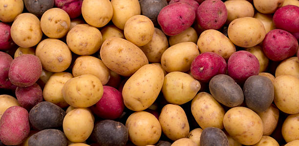 ポテト付き - raw potato red potato red nutrient ストックフォトと画像