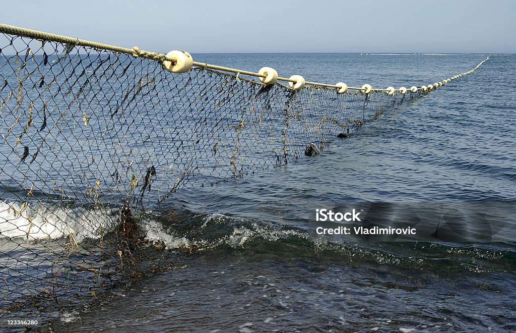 Pesca con la rete - Foto stock royalty-free di Industria della pesca