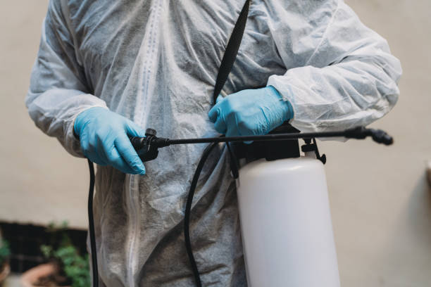 Detail of a sanitation worker in protective suit holding a sprayer Detail of a sanitation worker in protective suit holding a sprayer. Detail of the hands holding the sprayer. insecticide stock pictures, royalty-free photos & images