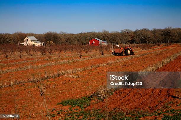 Farm E Campo - Fotografie stock e altre immagini di Affari - Affari, Agricoltura, Ambientazione esterna