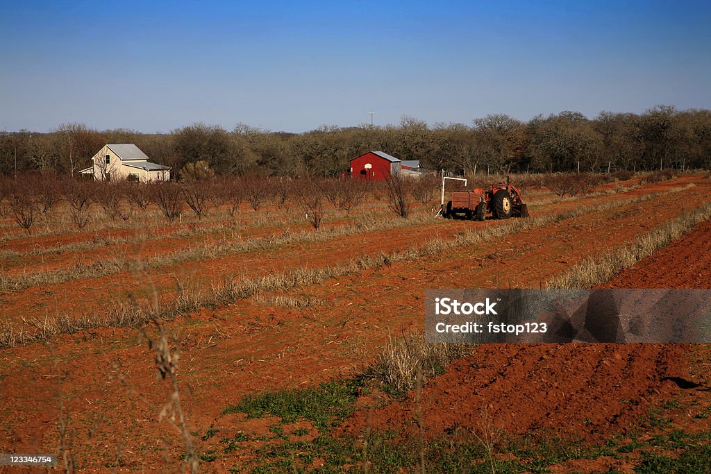 Farm e campo - Foto de stock de Agricultura royalty-free